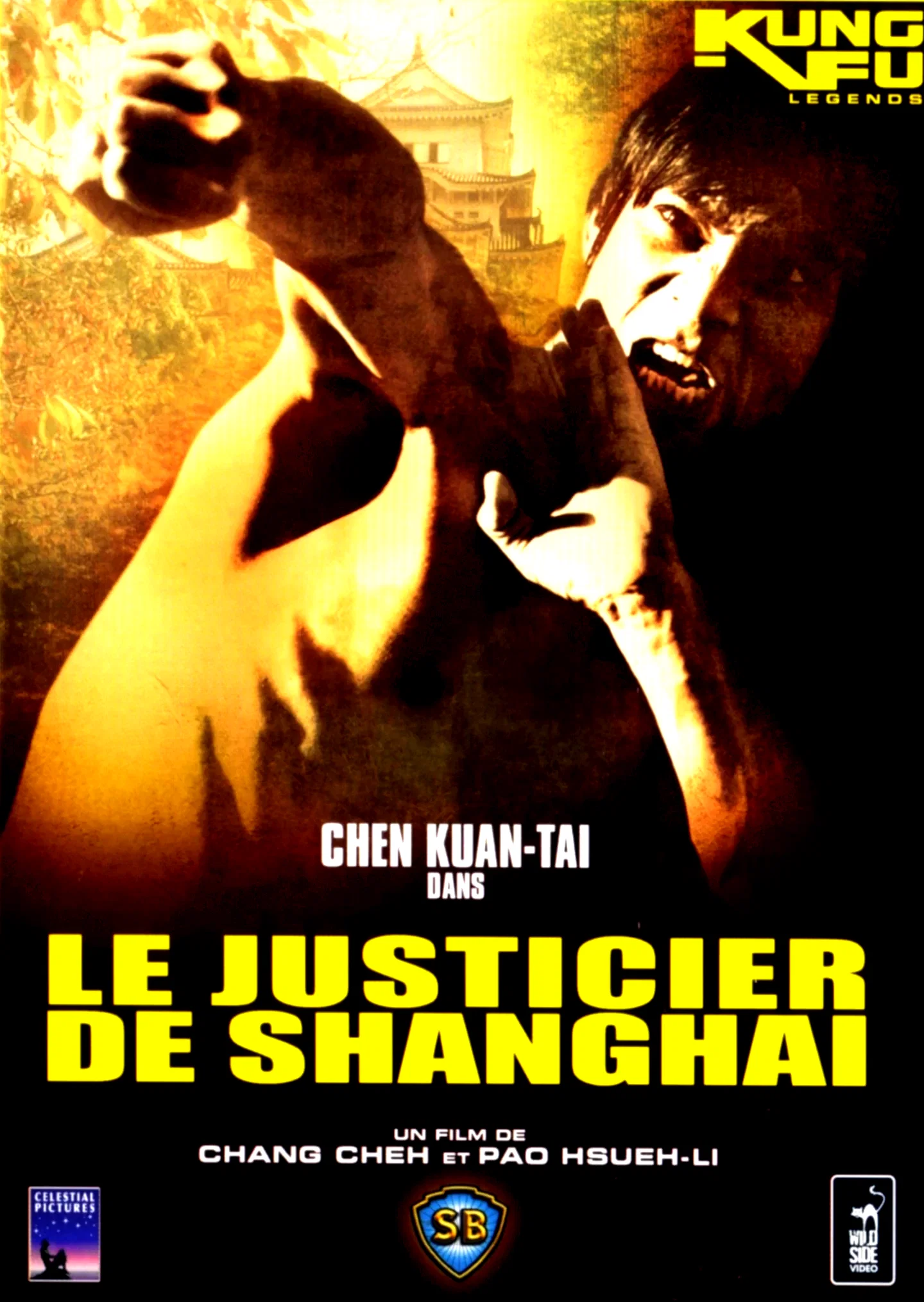 Affiche du film : Shanghai boxer