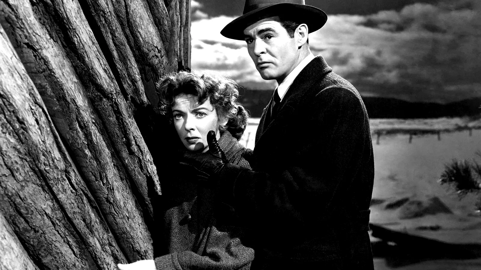 Photo 2 du film : La maison dans l'ombre