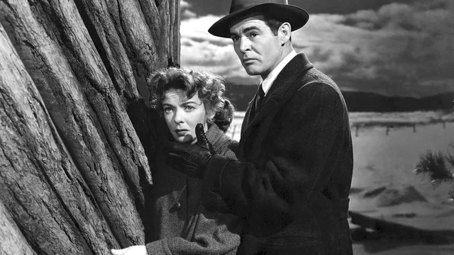 Photo du film : La maison dans l'ombre