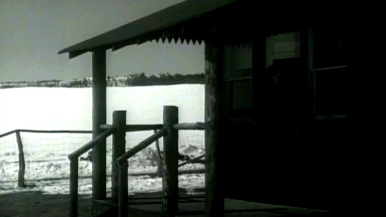 Photo 3 du film : La maison dans l'ombre