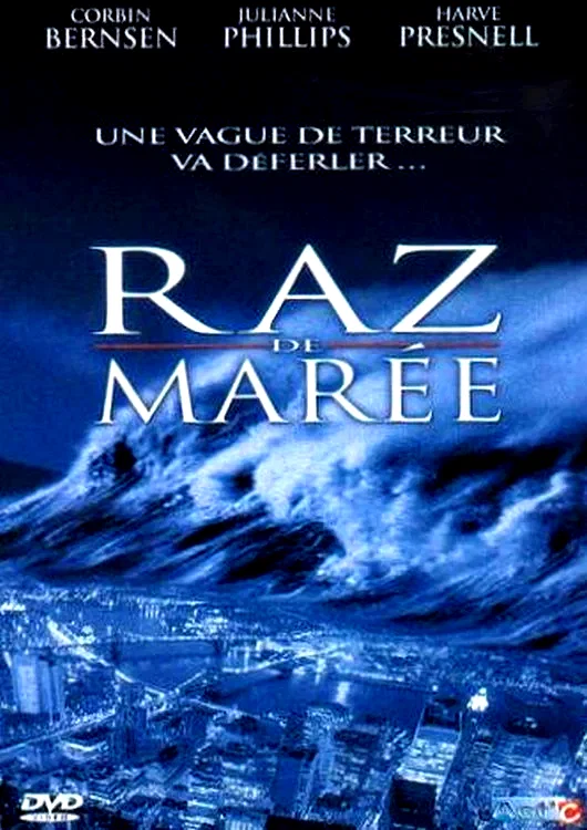 Affiche du film : Raz-de-maree : alerte sur la cote