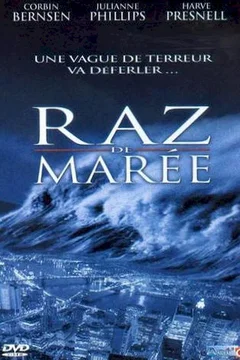 Affiche du film Raz-de-maree : alerte sur la cote