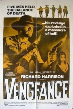 Affiche du film Avec django la mort est la