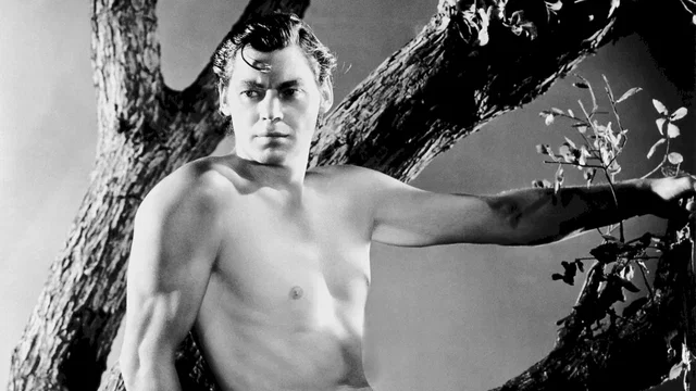 Photo 4 du film : Tarzan l'homme singe