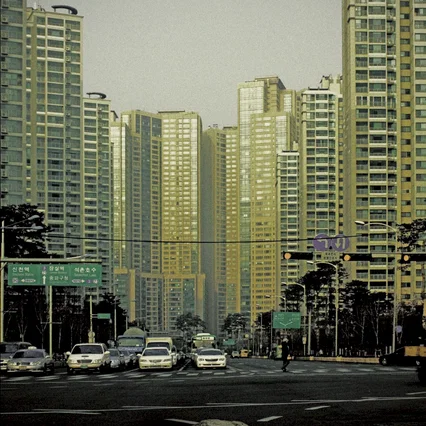 Miniature photo du film : Animal town 