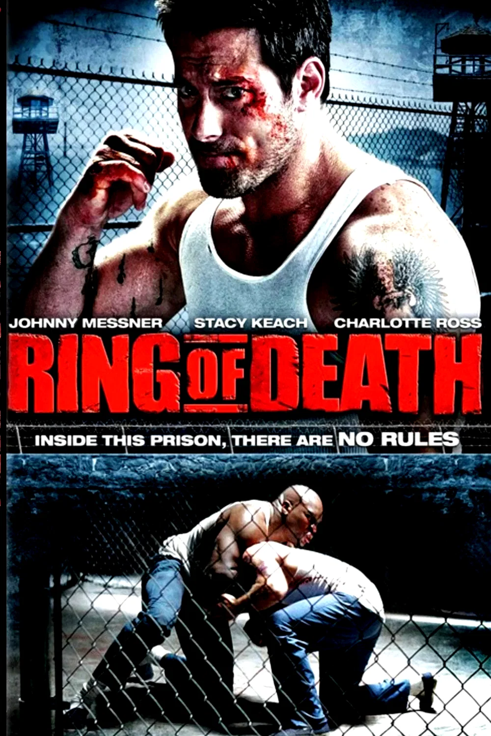 Affiche du film : Ultime combat