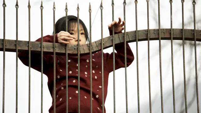 Photo 6 du film : Toute une vie