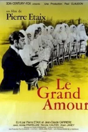 Affiche du film : Le grand amour