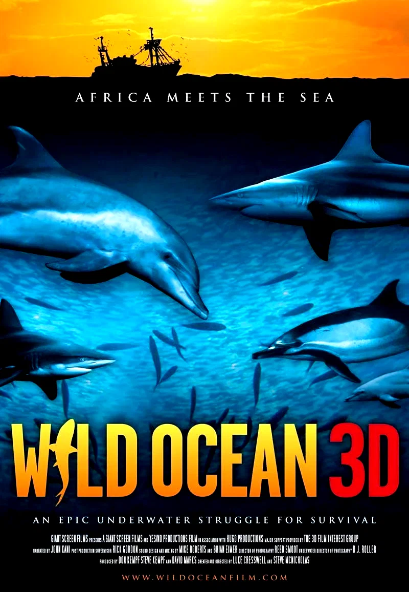 Affiche du film : 3d mania