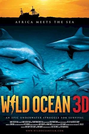 Affiche du film : 3d mania