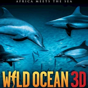 Photo du film : 3d mania