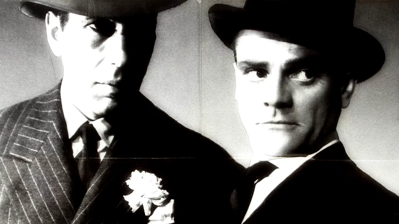 Photo du film : Les annees fantastiques