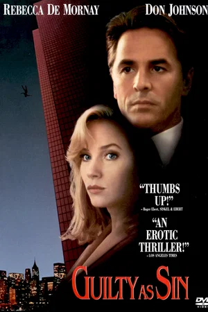 Affiche du film : L'avocat