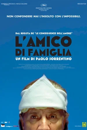 Affiche du film : L'ami de la famille