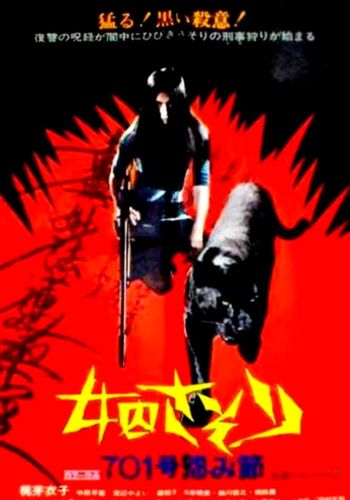 Affiche du film : La rancune
