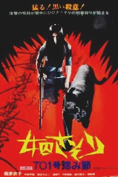 Affiche du film La rancune