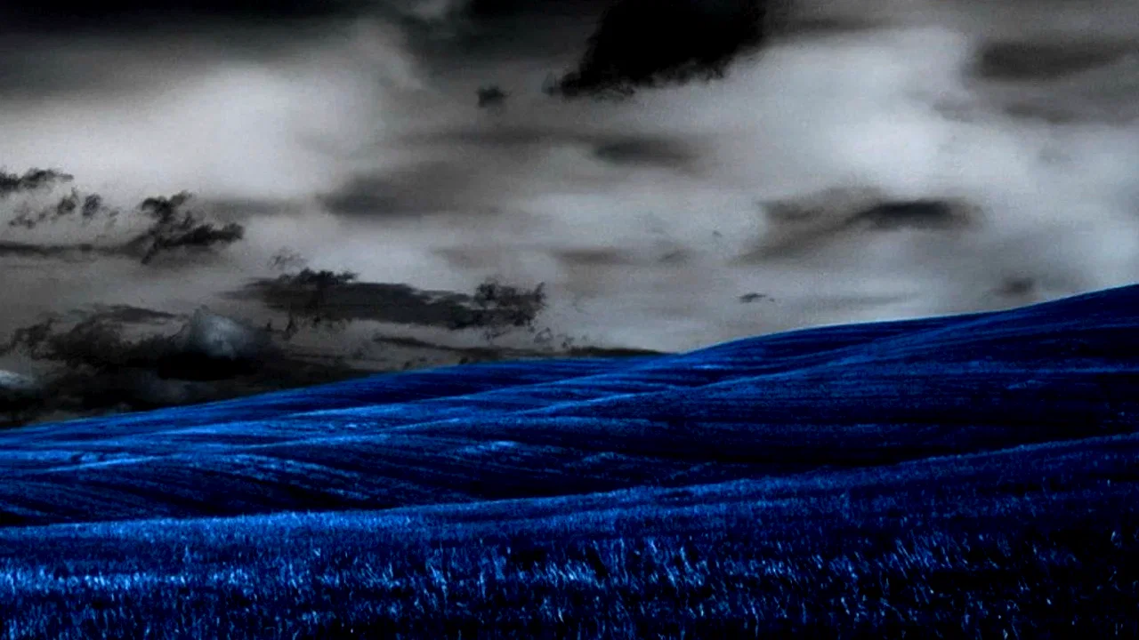 Photo 2 du film : The Dark Fields