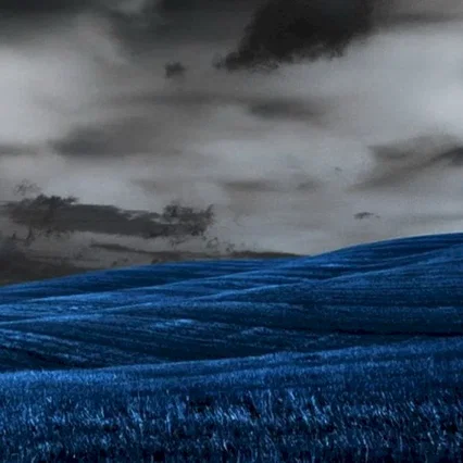 Miniature photo du film : The Dark Fields
