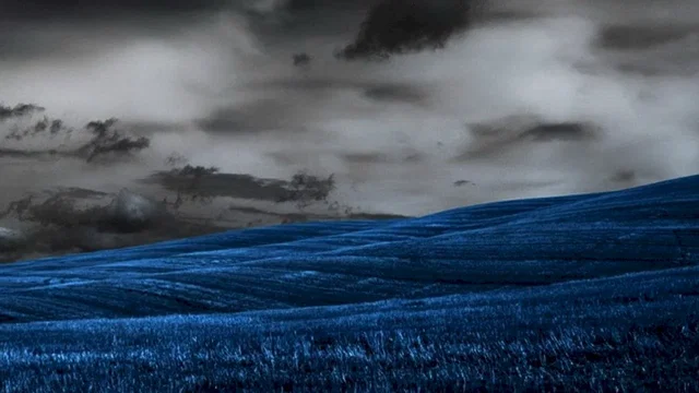 Photo 2 du film : The Dark Fields