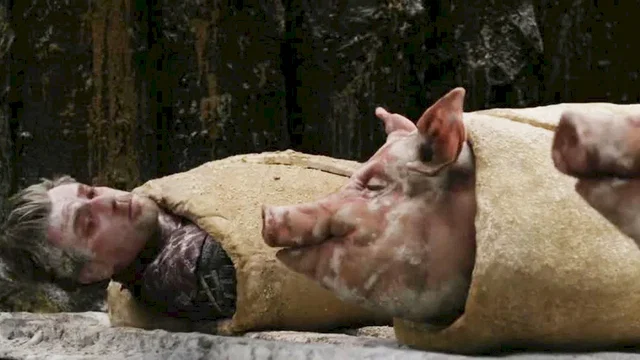 Photo 10 du film : Le matador