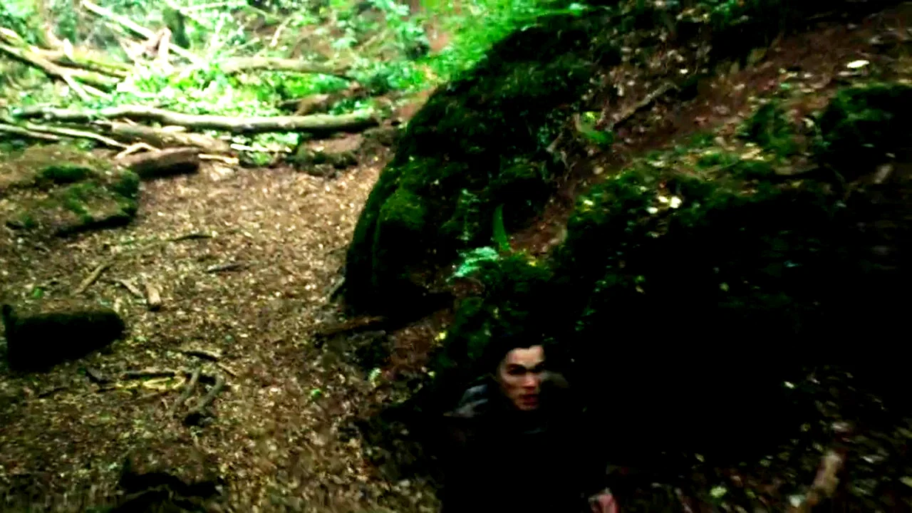 Photo 13 du film : Le matador