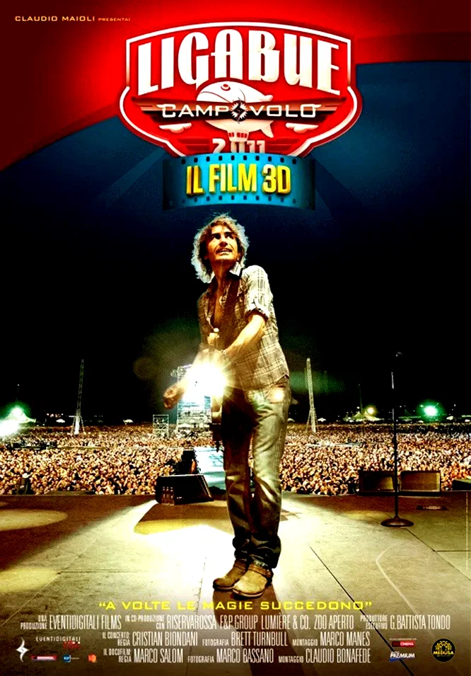 Affiche du film : Ligabue