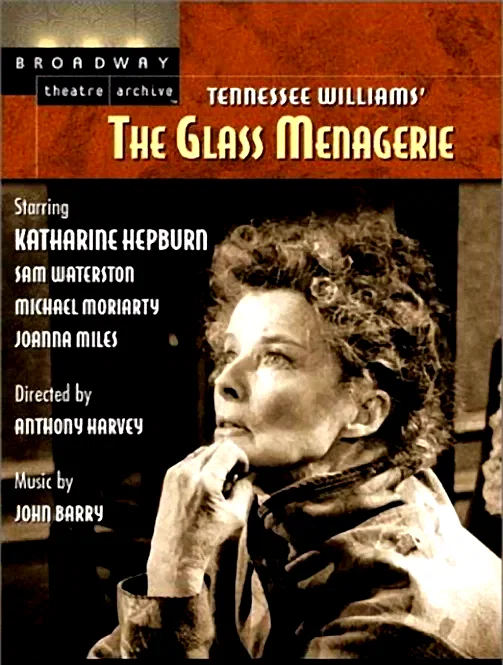 Affiche du film : La menagerie de verre