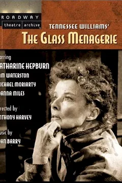 Affiche du film La menagerie de verre