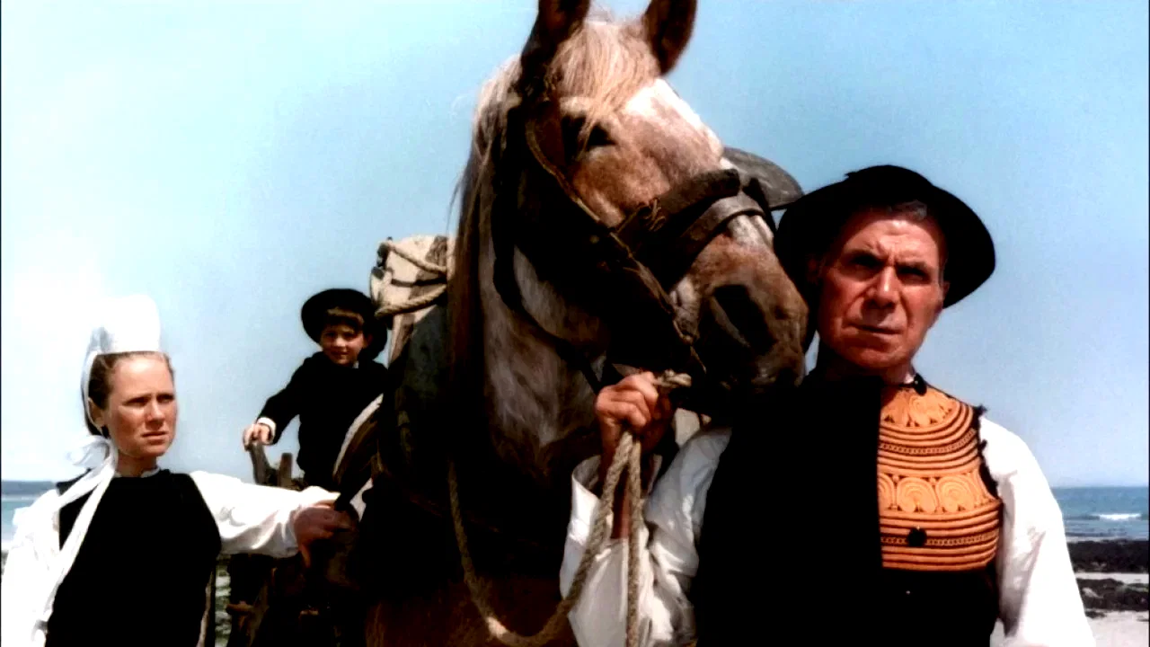 Photo 3 du film : Le cheval d'orgueil