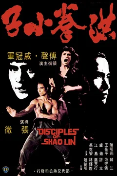 Affiche du film Les disciples de shaolin