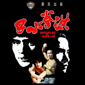 Photo du film : Les disciples de shaolin