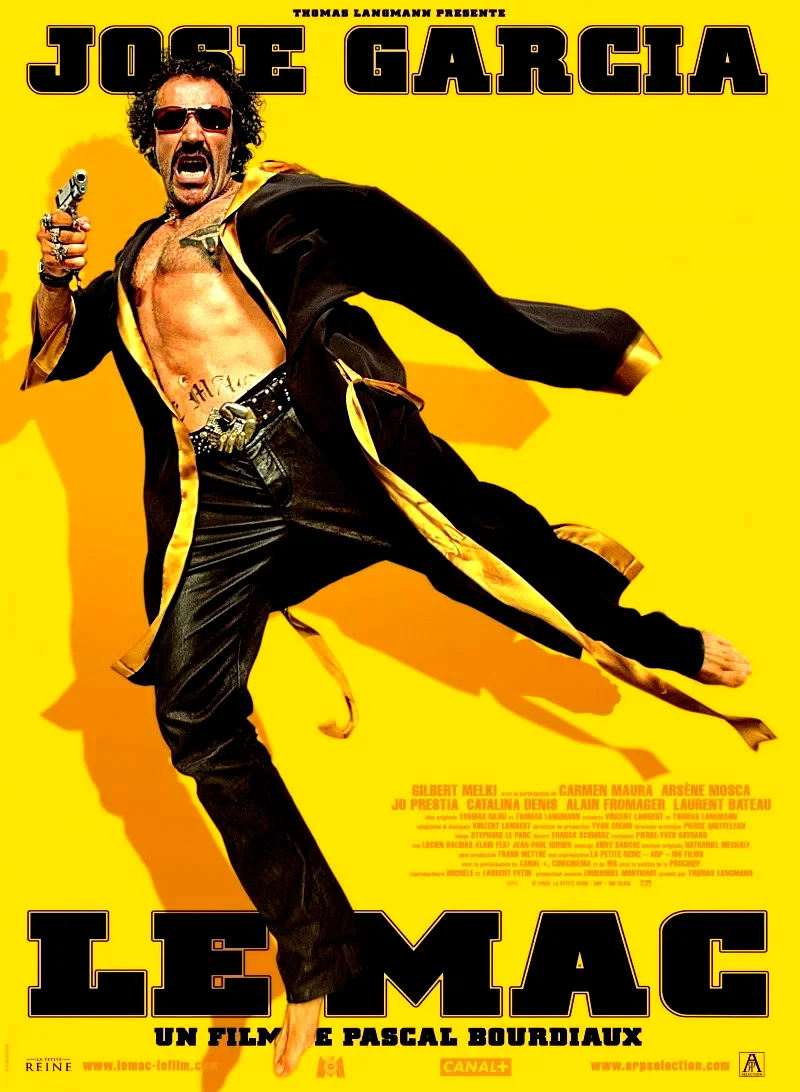 Affiche du film : Le gigolo