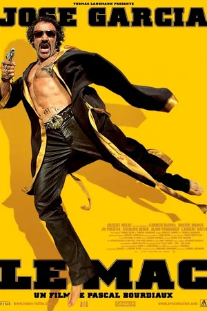 Affiche du film : Le gigolo