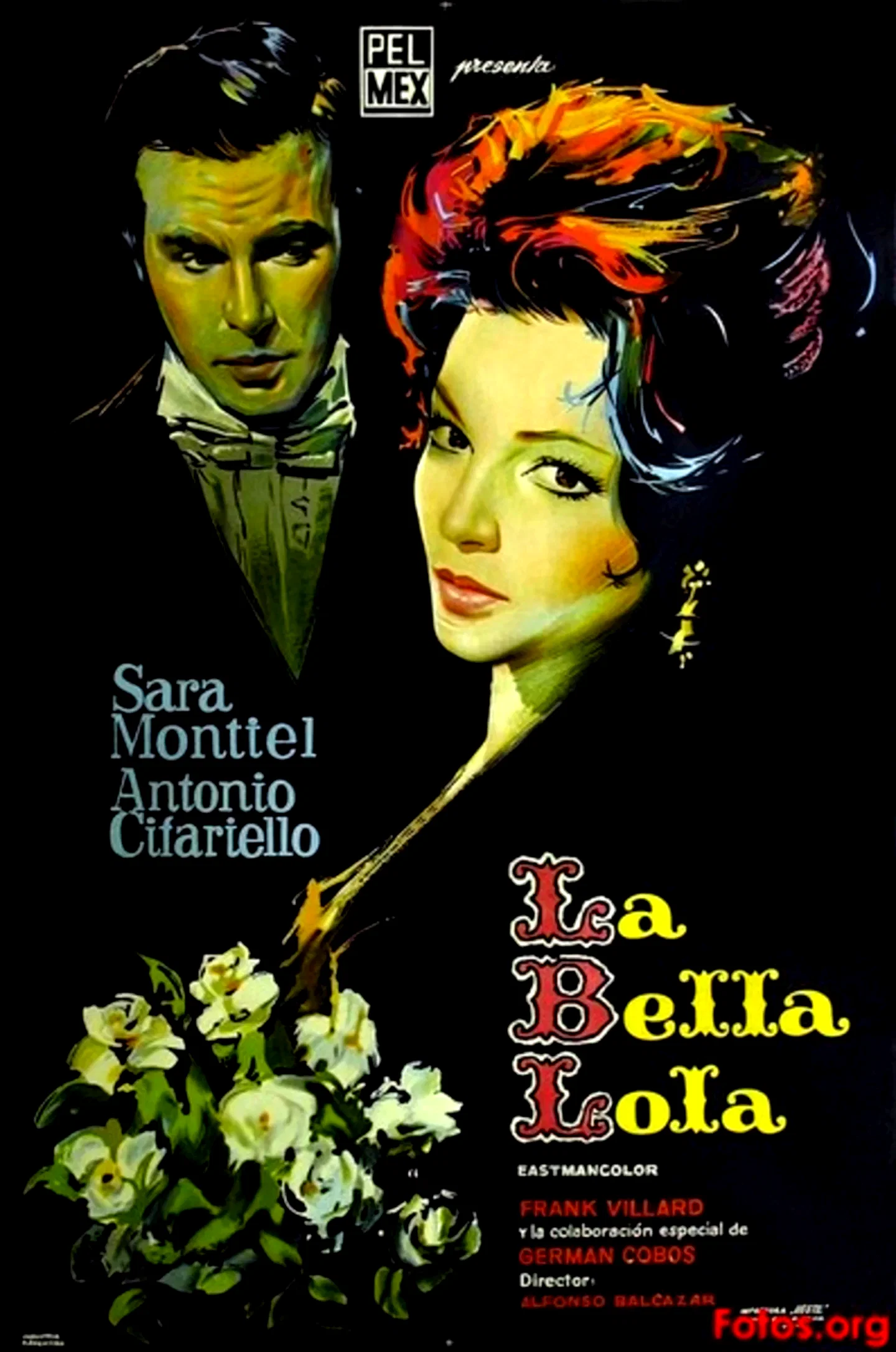 Affiche du film : Une dame aux camelias