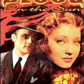 Photo du film : Du sang dans le soleil