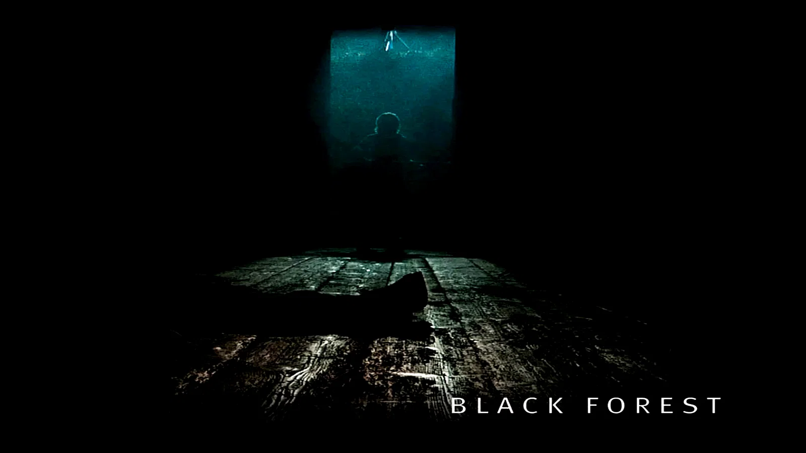 Photo 2 du film : La foret noire
