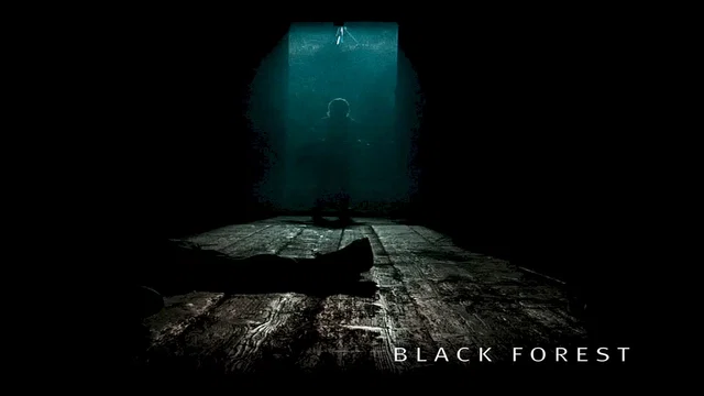 Photo 2 du film : La foret noire