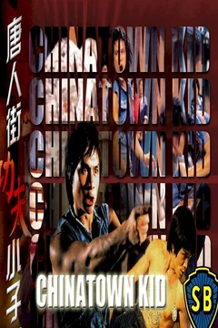 Affiche du film Le caid