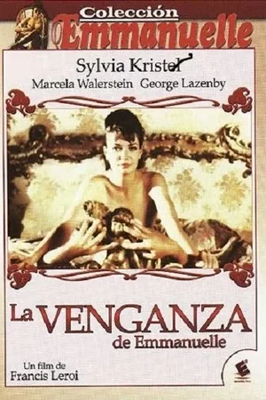 Affiche du film : La revanche
