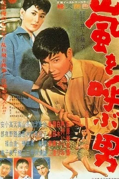 Affiche du film Pigalle a tokyo