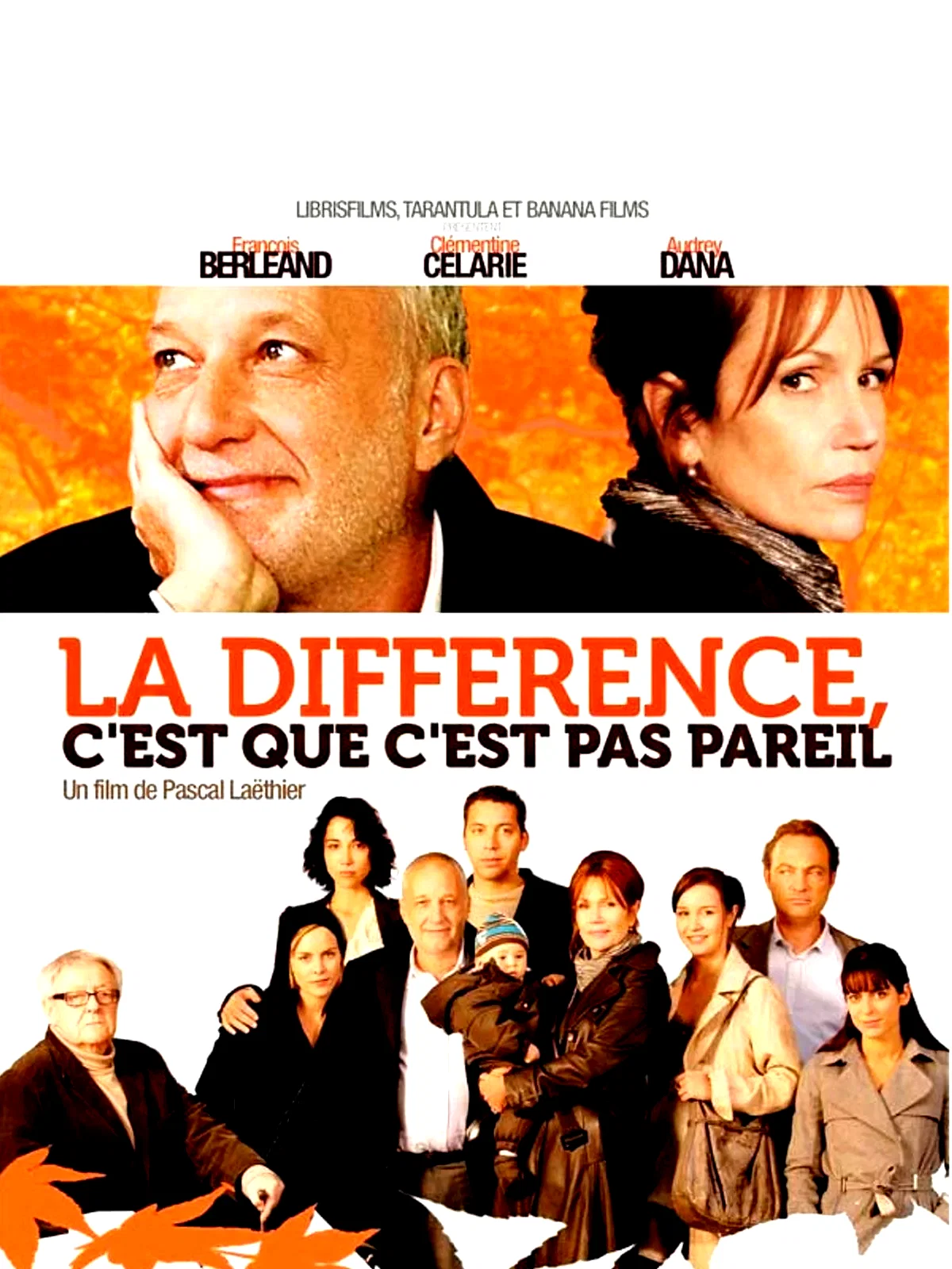 Affiche du film : Pareil pas pareil