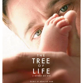 Photo du film : L'arbre de vie