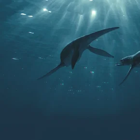 Photo du film : Prehistoric world