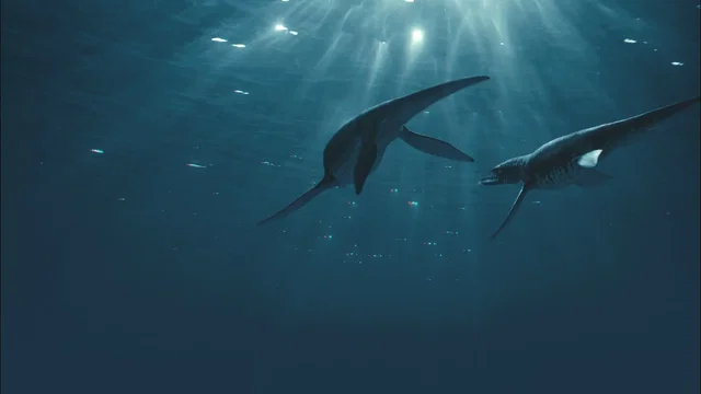 Photo 2 du film : Prehistoric world