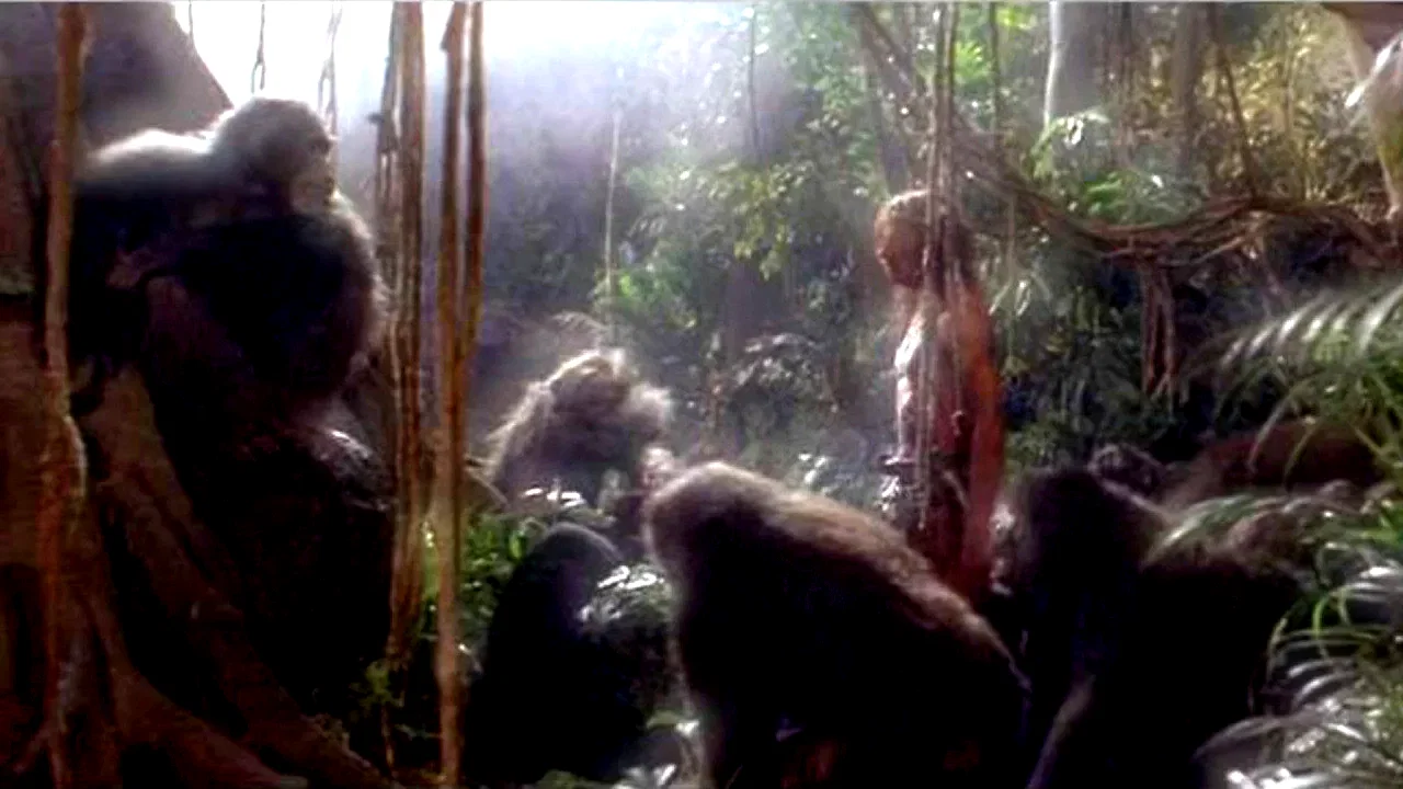 Photo 3 du film : Lord of the Apes