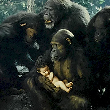 Miniature photo du film : Lord of the Apes