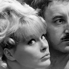 Photo du film : L'inspecteur clouseau