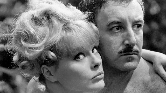 Photo 2 du film : L'inspecteur clouseau