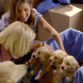 Photo du film : Christmas Tails 