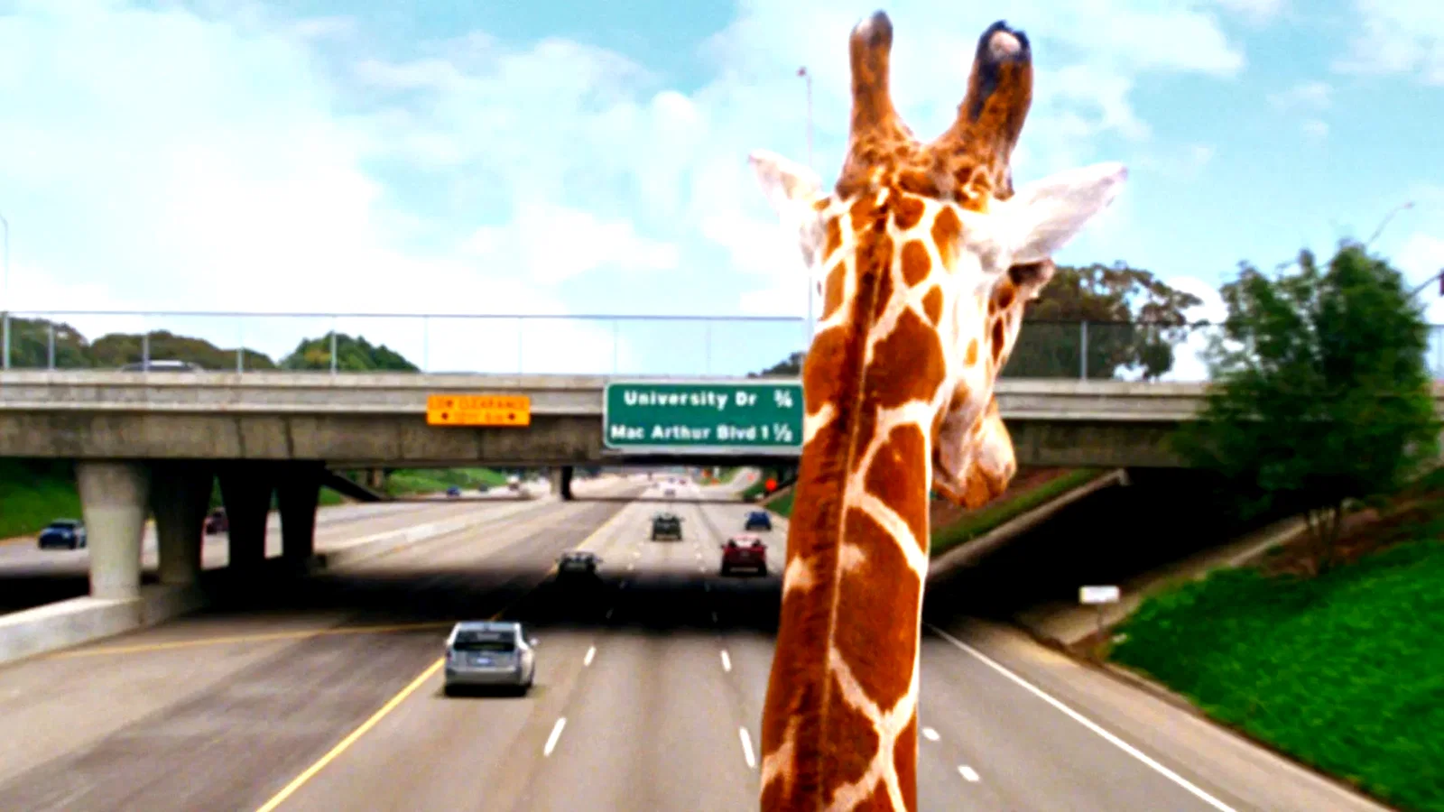 Photo 10 du film : Bad Trip